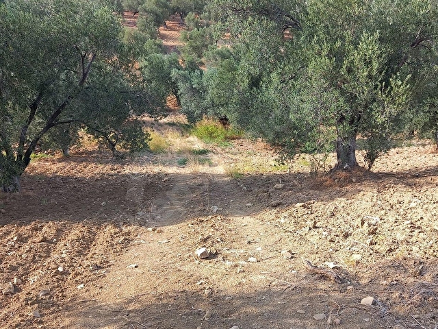 PELİTKÖY SAHIL KISMINDA DENİZ MANZARALI RESMİ YOLU OLAN 8270 M2 - Görsel 11