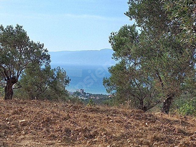 PELİTKÖY SAHIL KISMINDA DENİZ MANZARALI RESMİ YOLU OLAN 8270 M2 - Görsel 9