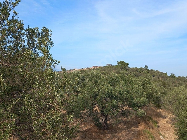PELİTKÖY SAHIL KISMINDA DENİZ MANZARALI RESMİ YOLU OLAN 8270 M2 - Görsel 3