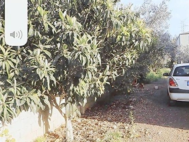 ANTALYA DÖŞEMEALTI YALINLI MAH DE 525 m2 ARSA İÇNDE MÜSTAKİL EV - Görsel 18