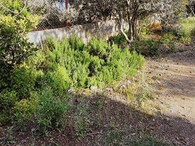 ANTALYA DÖŞEMEALTI YALINLI MAH DE 525 m2 ARSA İÇNDE MÜSTAKİL EV - Görsel 26