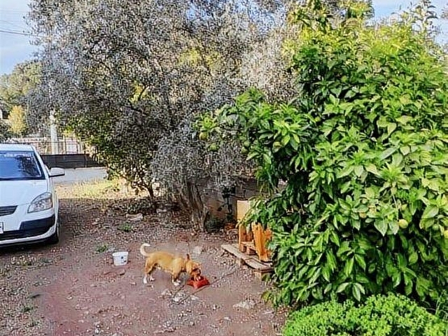 ANTALYA DÖŞEMEALTI YALINLI MAH DE 525 m2 ARSA İÇNDE MÜSTAKİL EV - Görsel 25