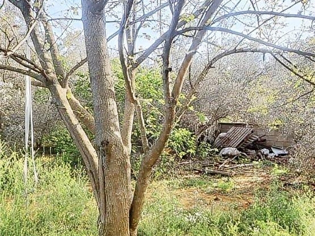 ANTALYA DÖŞEMEALTI YALINLI MAH DE 525 m2 ARSA İÇNDE MÜSTAKİL EV - Görsel 15