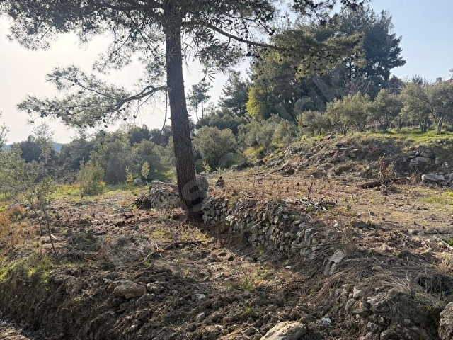 SEYDİKEMER ARSADA SATILIK TARLA - Görsel 3