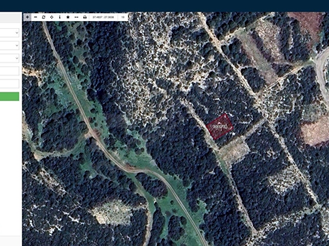 AYDIN DİDİM AKYENİKÖY 300 m2 SATILIK ARSA YOLU MEVCUT - Görsel 8