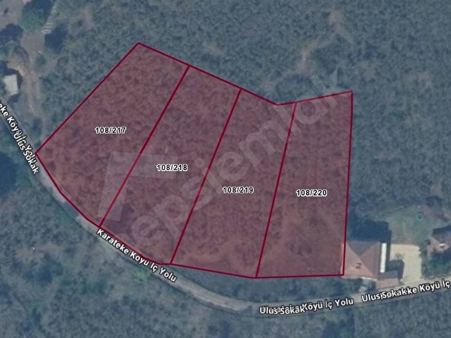 Söğütlü Karatekede 2000m² İmarlı Arsa Yola Cephe Fındık Bahçesi - Görsel 19