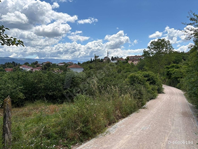 Söğütlü Karatekede 2000m² İmarlı Arsa Yola Cephe Fındık Bahçesi - Görsel 13
