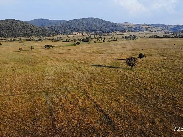 RESMİ YOLU OLAN 4,600 m2 ÇİFTLİK ARAZİSİ KAÇMAZ ! - Görsel 26