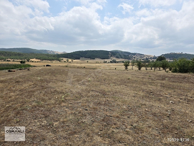 RESMİ YOLU OLAN 4,600 m2 ÇİFTLİK ARAZİSİ KAÇMAZ ! - Görsel 7