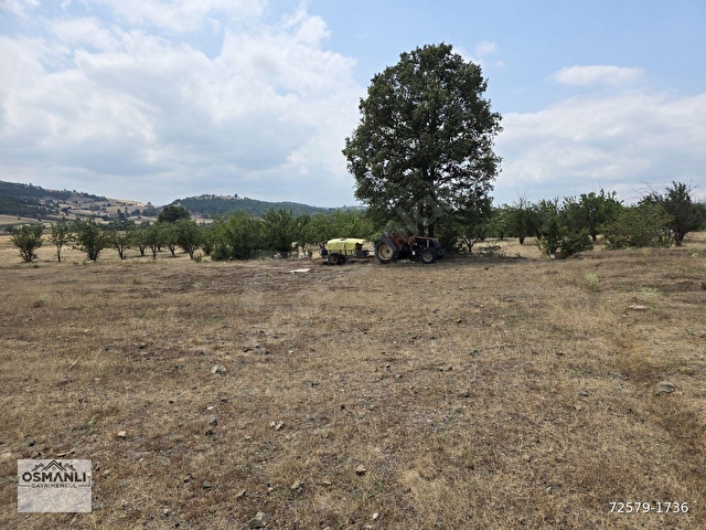 RESMİ YOLU OLAN 4,600 m2 ÇİFTLİK ARAZİSİ KAÇMAZ ! - Görsel 9