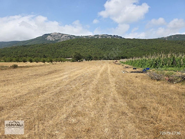 RESMİ YOLU OLAN 4,600 m2 ÇİFTLİK ARAZİSİ KAÇMAZ ! - Görsel 11