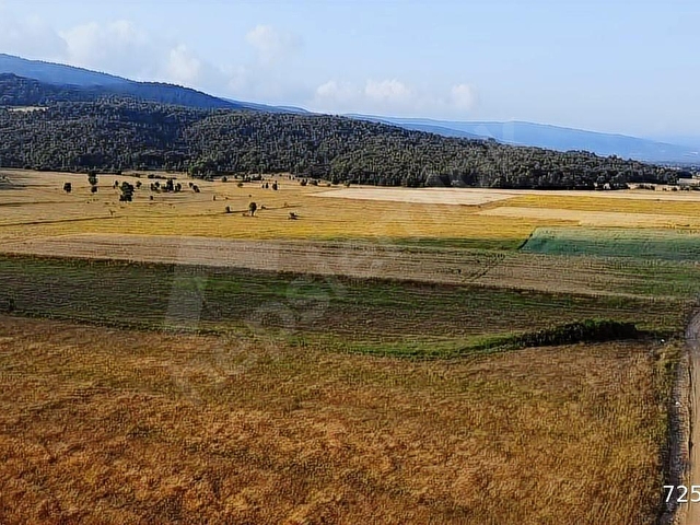 RESMİ YOLU OLAN 4,600 m2 ÇİFTLİK ARAZİSİ KAÇMAZ ! - Görsel 20