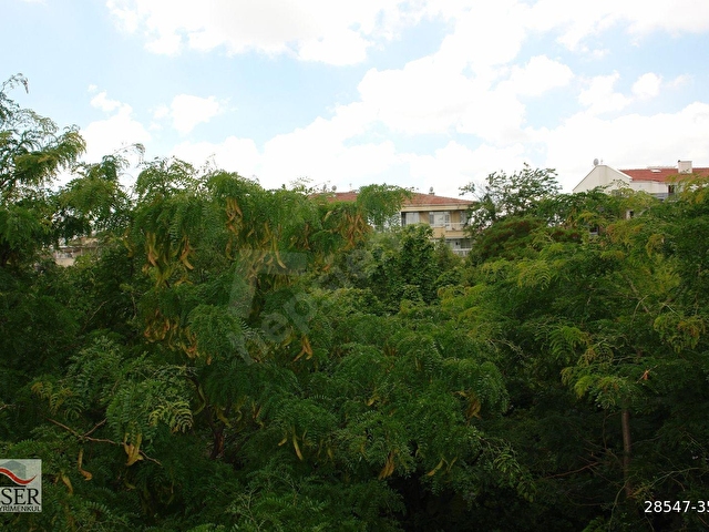 ESERDEN MALTEPE NEYZEN TEVFİK SOKAKTA KOMBİLİ KİRALIK 2+1 DAİRE - Görsel 3