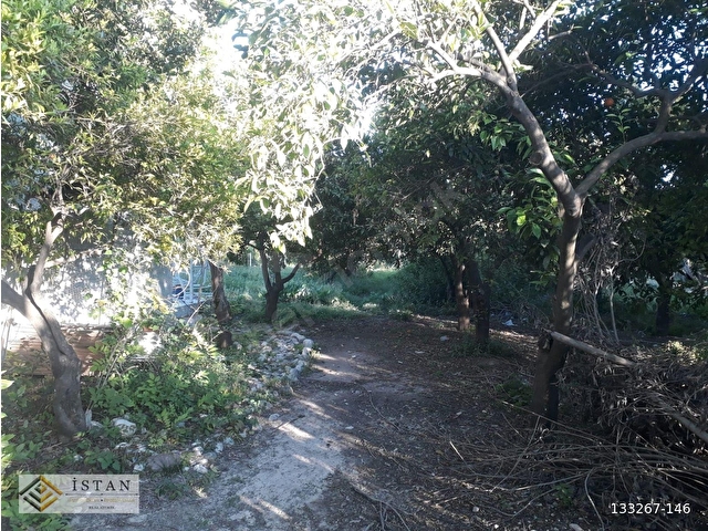 ANTALYA DOYRAN DA DOĞA İÇİNDE SATILIK ARSA - Görsel 4