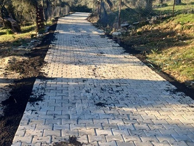SATILIK ZEYTİNLİK. YOLU OLAN. VE YERLEŞİME YÜRÜME MESAFESİNDE.