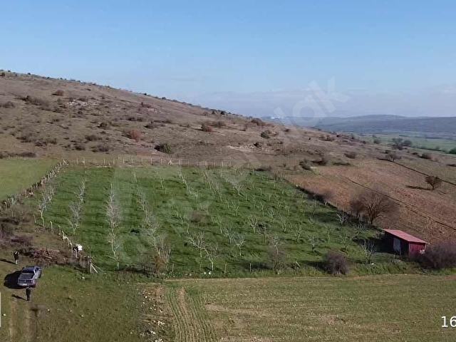 ALTIEYLÜL PAMUKÇUDA SATILIK CEVİZLİK - Görsel 18