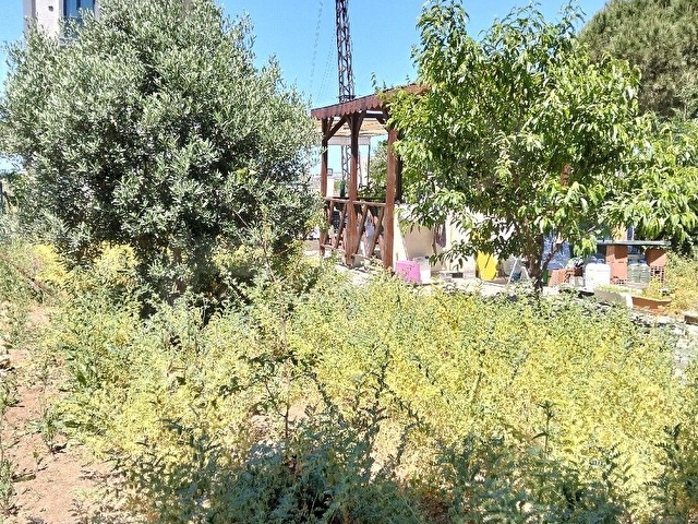efeler mahallesinde satılık villa arsası - Görsel 3