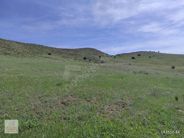 ÇORUM UĞURLUDAĞ KÜÇÜKERİKLİ KÖYÜ 2.996M² TARLAMIZ SATILIKTIR.