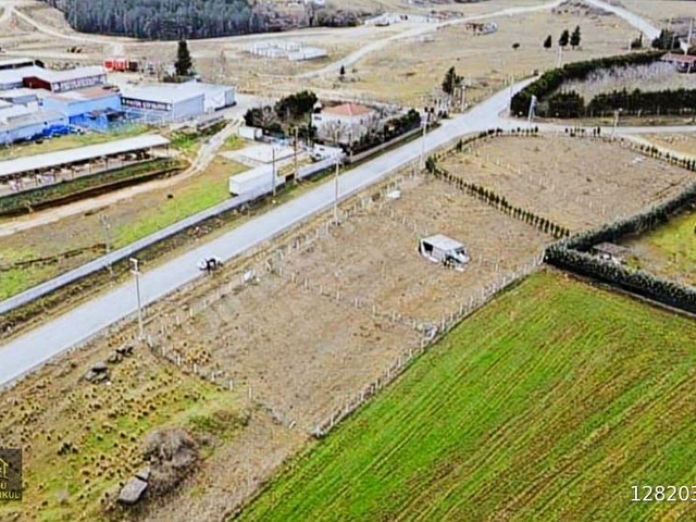 ÇATALCA İNCEĞİZ ASFALT CEPHELİ TARLA 920 M2 - Görsel 15