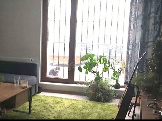 FUL MOBİLYALI EŞYALI 2+1, 100 M2, TERAS KULLANIMLI, YENİ, İLK KEZ KİRAYA VERİLECEK, TEMİZ DAİRE - Görsel 8