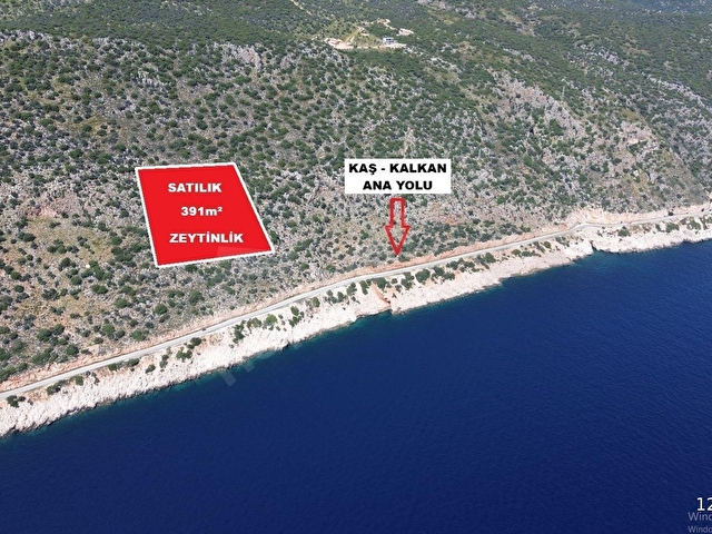 VİP GAYRİMENKULden KAŞ SARIBELEN 391m² DENİZMANZARALI ZEYTİNLİK - Görsel 2