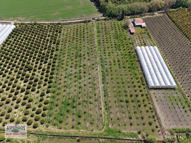 Eskiköyde 16000m2 satılık nar bahçesi - Görsel 11