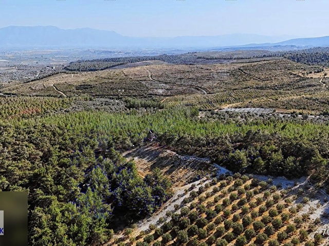 TEK TAPU ŞEHZADELER KALEMLİ DE 1.450 m2 ARAZİ YOLU VAR - Görsel 22