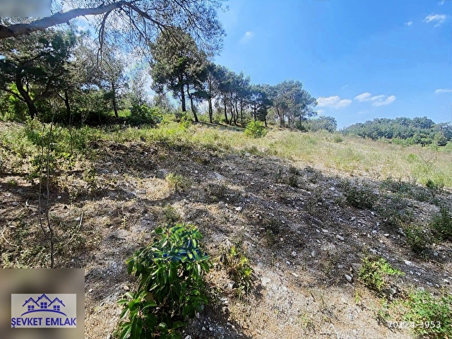 TEK TAPU ŞEHZADELER KALEMLİ DE 1.450 m2 ARAZİ YOLU VAR - Görsel 7
