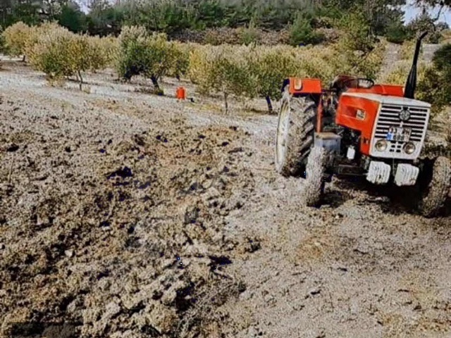 TEK TAPU ŞEHZADELER KALEMLİ DE 1.450 m2 ARAZİ YOLU VAR - Görsel 12