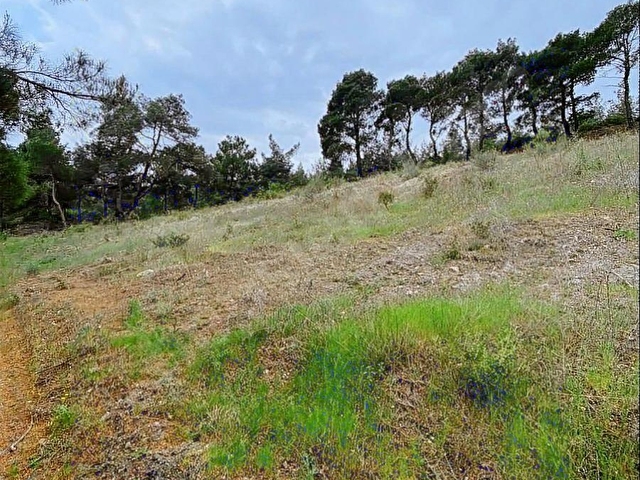TEK TAPU ŞEHZADELER KALEMLİ DE 1.450 m2 ARAZİ YOLU VAR - Görsel 8