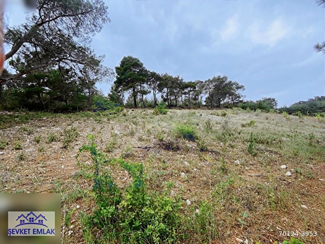 TEK TAPU ŞEHZADELER KALEMLİ DE 1.450 m2 ARAZİ YOLU VAR - Görsel 13