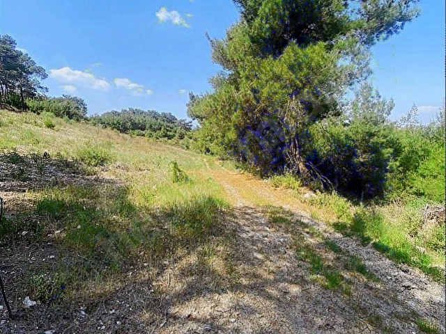 TEK TAPU ŞEHZADELER KALEMLİ DE 1.450 m2 ARAZİ YOLU VAR - Görsel 2