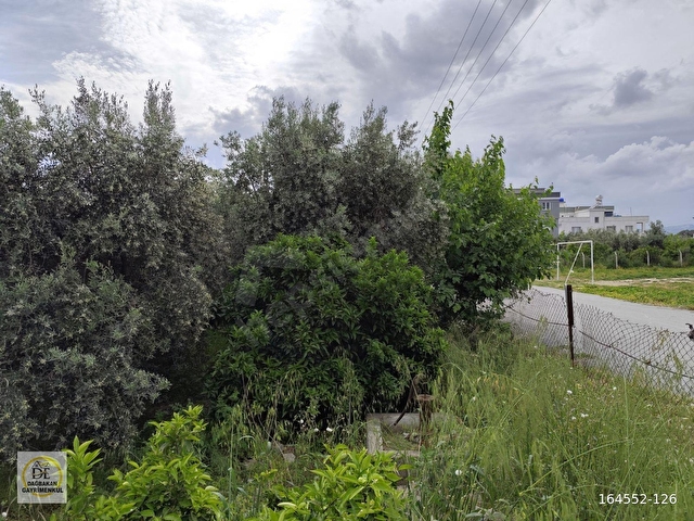 DAĞBAKAN EMLÂK YEŞİL MH SATILIK 430 m² ARSA - Görsel 7