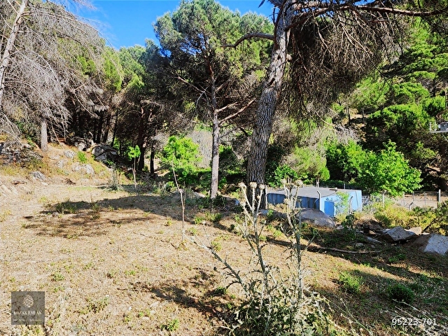 Burhaniye Hacıbozlar Fıstık Çamlığı Satılık - Görsel 14