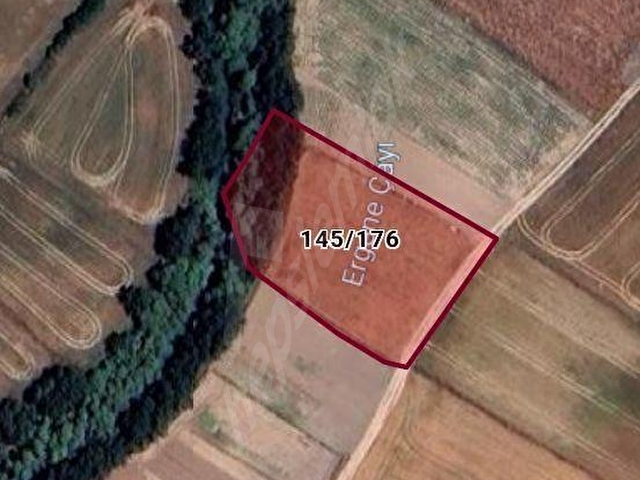 TEKİRDAĞ SARAY ÇAYLA KÖYÜ 2700 M2 TARLA TEK TAPU - Görsel 3