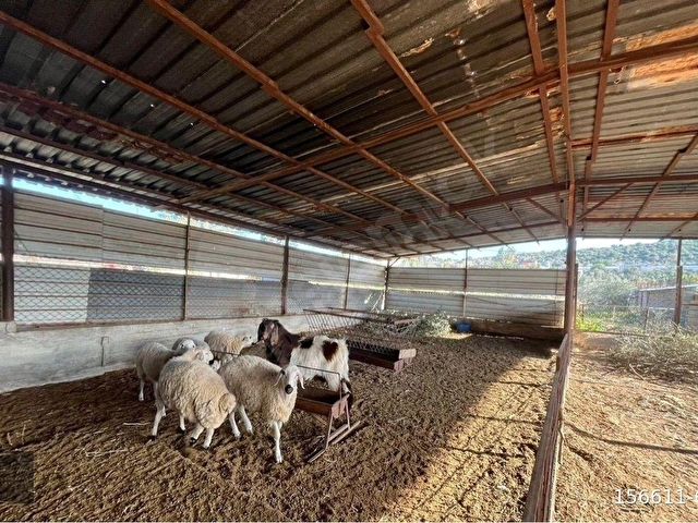 TARSUS MEŞELİK’TE TAM DONANIMLI 5 DÖNÜM ÇİFTLİK - Görsel 7