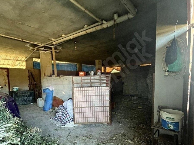 TARSUS MEŞELİK’TE TAM DONANIMLI 5 DÖNÜM ÇİFTLİK - Görsel 21