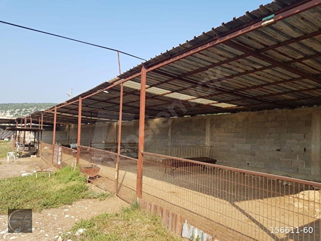 TARSUS MEŞELİK’TE TAM DONANIMLI 5 DÖNÜM ÇİFTLİK - Görsel 14