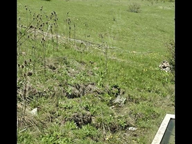 1837 m2 kütahya tavşanlı karakişi köyü satılık çeşme yanı tarla - Görsel 26
