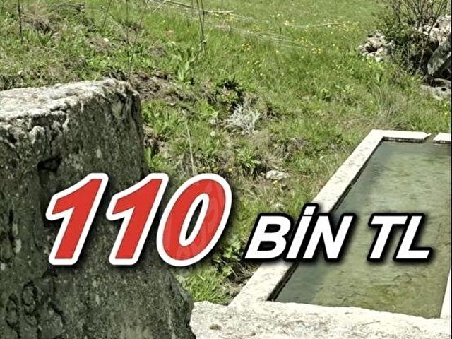 1837 m2 kütahya tavşanlı karakişi köyü satılık çeşme yanı tarla - Görsel 21
