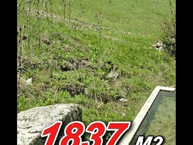 1837 m2 kütahya tavşanlı karakişi köyü satılık çeşme yanı tarla - Görsel 5