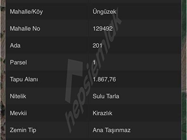 FIRSAT SATLIK TARLALAR ÜNGÜZEK KÖYÜNDE - Görsel 5
