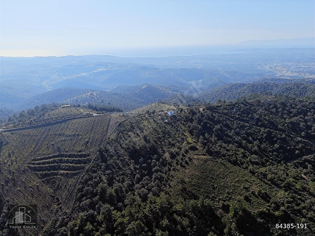 SEFERİHİSAR TURABİYEDE 12.790 m² DENİZ MANZARALI & YAPI KAYITLI - Görsel 12