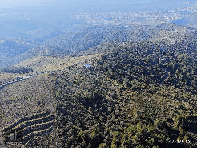 SEFERİHİSAR TURABİYEDE 12.790 m² DENİZ MANZARALI & YAPI KAYITLI - Görsel 13