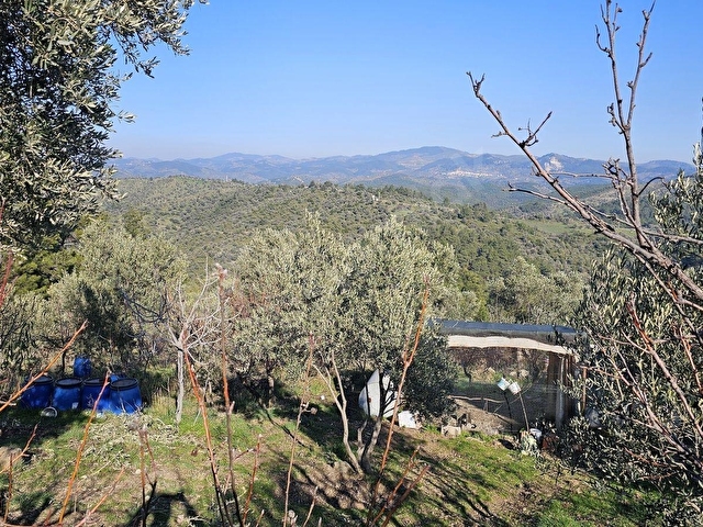 SEFERİHİSAR TURABİYEDE 12.790 m² DENİZ MANZARALI & YAPI KAYITLI - Görsel 28