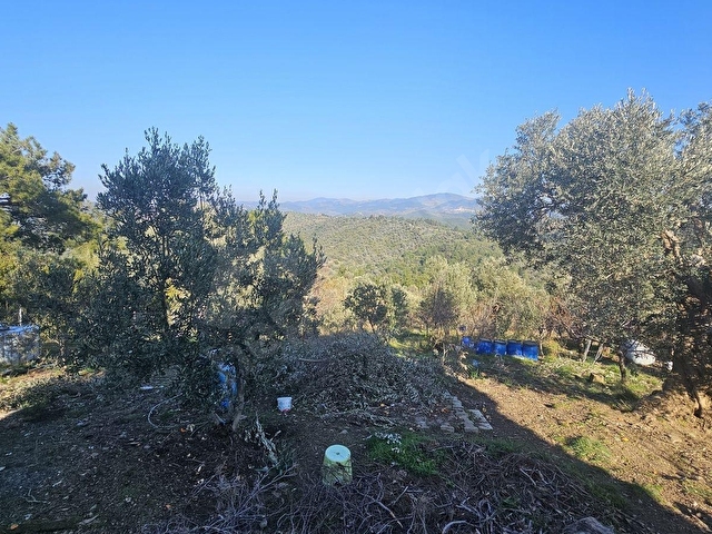 SEFERİHİSAR TURABİYEDE 12.790 m² DENİZ MANZARALI & YAPI KAYITLI - Görsel 27