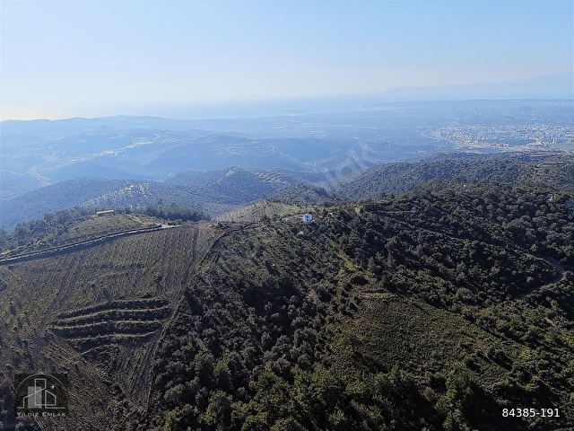 SEFERİHİSAR TURABİYEDE 12.790 m² DENİZ MANZARALI & YAPI KAYITLI - Görsel 11
