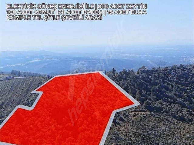 SEFERİHİSAR TURABİYEDE 12.790 m² DENİZ MANZARALI & YAPI KAYITLI - Görsel 5