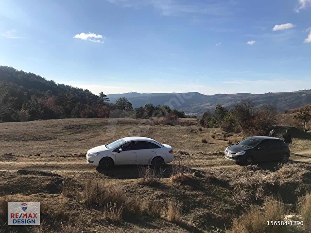 REMAX DESİGN TARAKLI İÇDEDELERDE 4909 M2 TARLA - Görsel 9