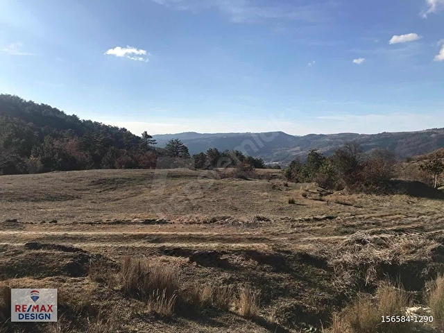 REMAX DESİGN TARAKLI İÇDEDELERDE 4909 M2 TARLA - Görsel 10